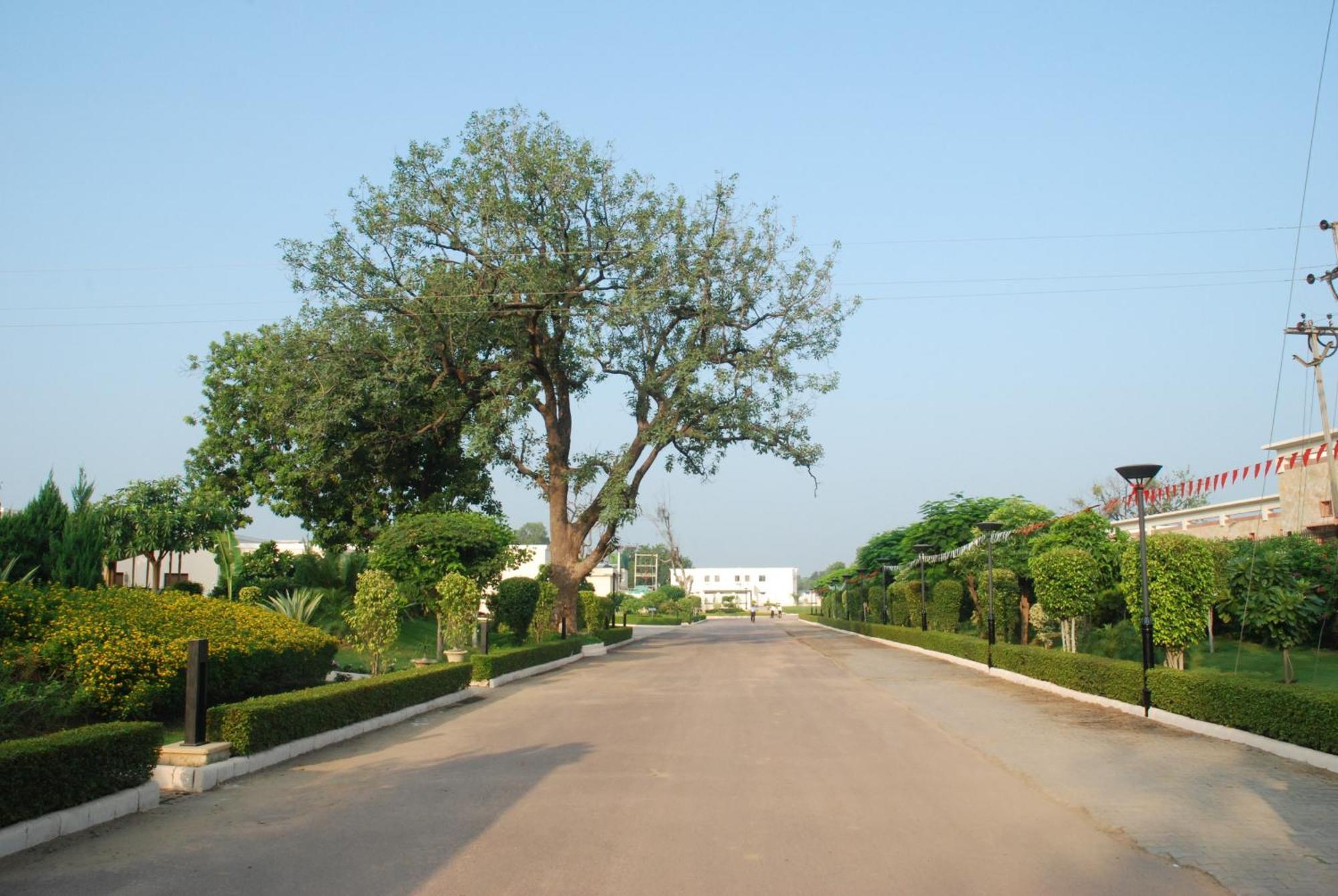 מלון קג'ורהו The Lalit Temple View מראה חיצוני תמונה